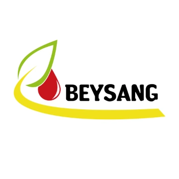 Beysang